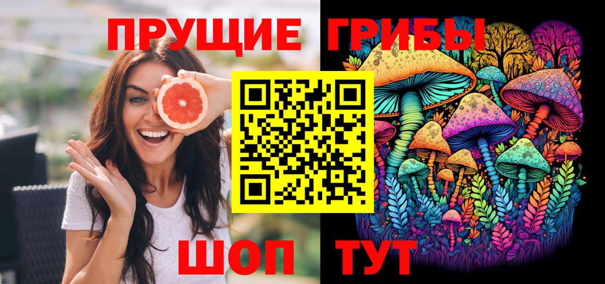 Дедовск  Галлюциногенные грибы Cubensis  Вход с VPN 